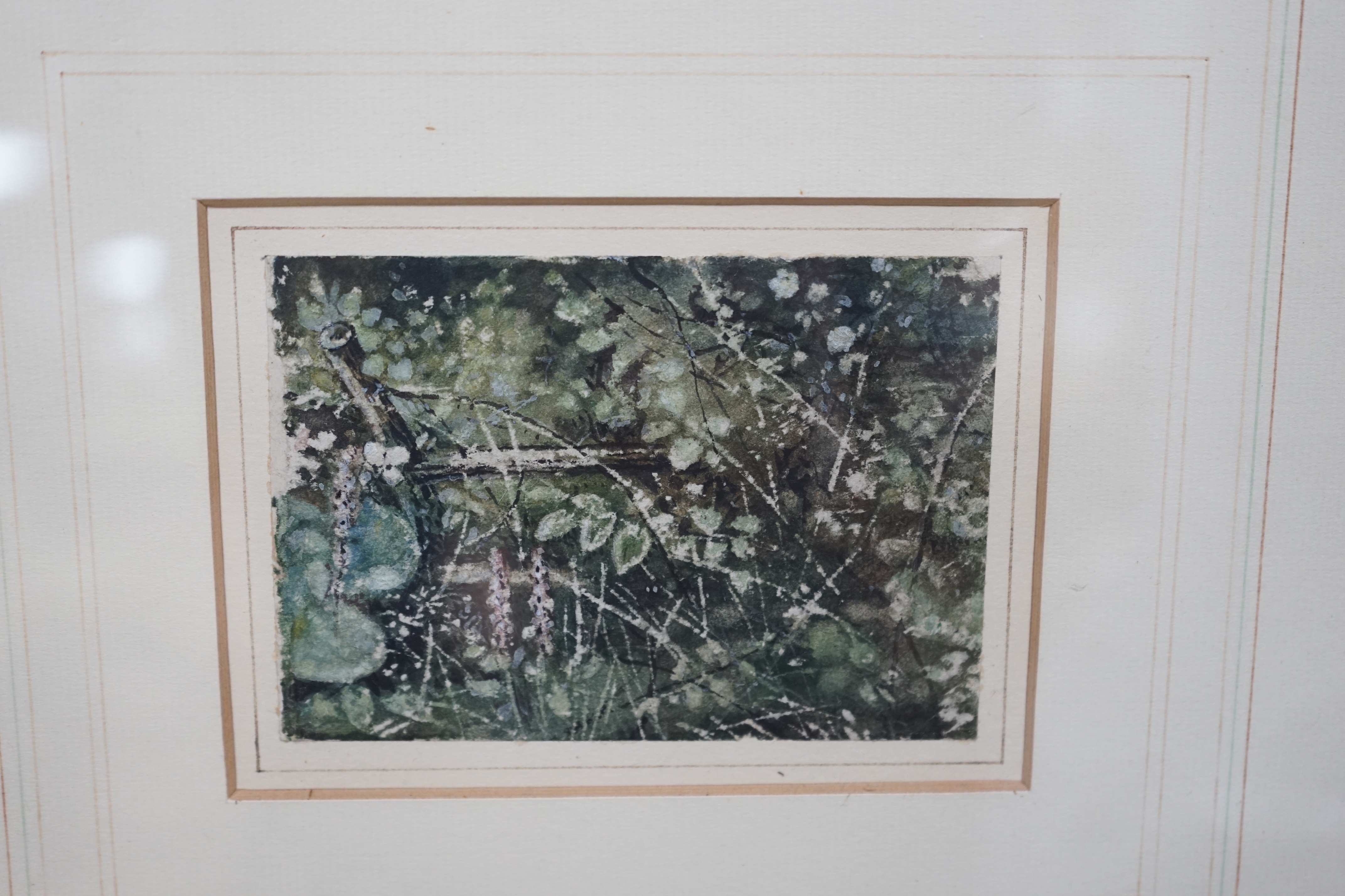 Attributed to Myles Birkett Foster RWS (1825-1899), watercolour, ‘’Study of a hedgerow’’, provenance details verso from the artist’s sketchbook, 9 x 11cm